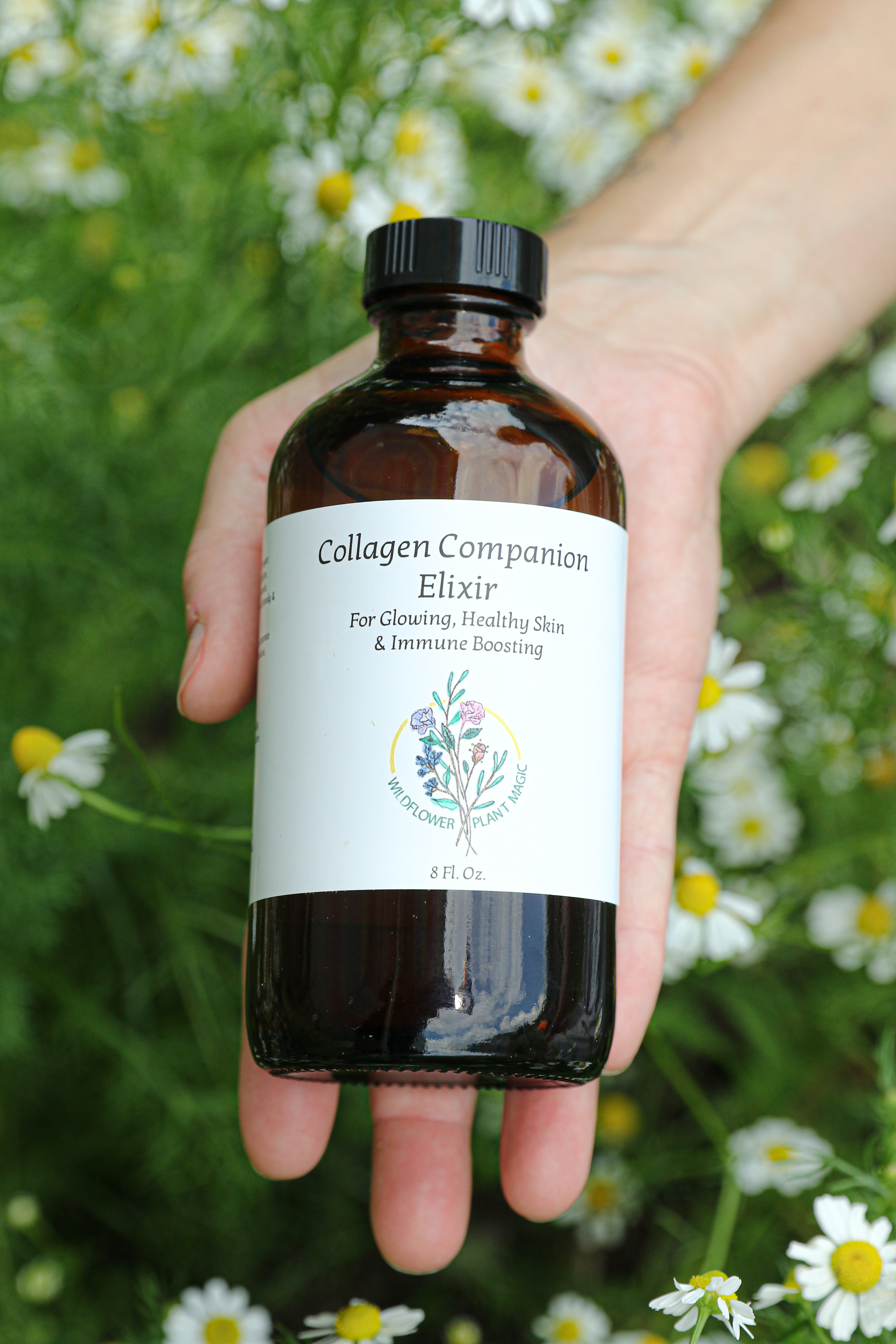 Collagen Companion Elixir